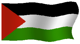 Palestine Flag